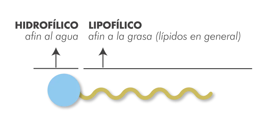 Qué son los tensioactivos y para que sirven en cosmética