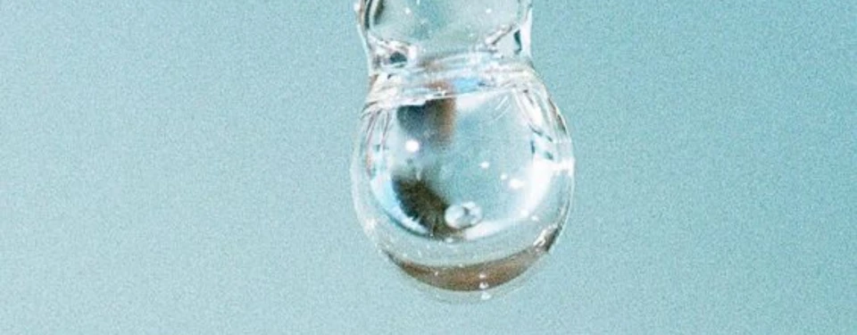 Natural alternatives to silicones