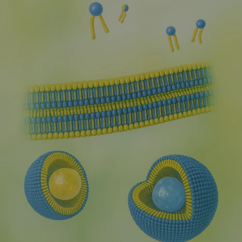 Lecitinas Fosfatidilcolinas